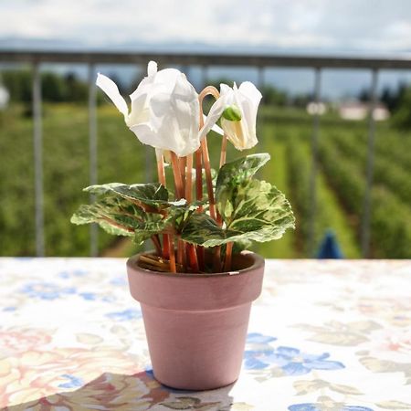 Hotel Reutiner Hof Lindau  Luaran gambar
